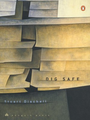 cover image of Dig Safe